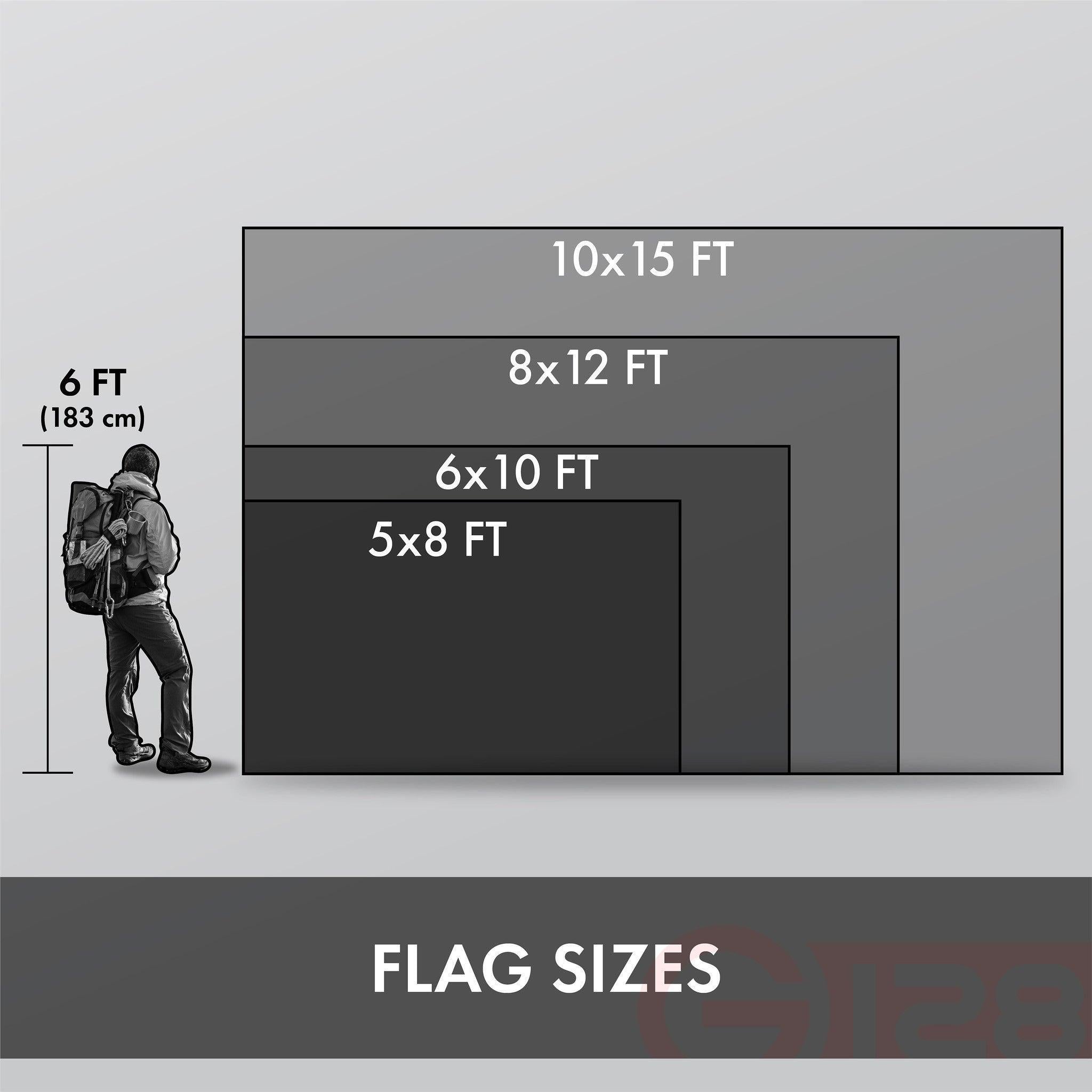 Texas Titan 10x15 Ft Commercial Texas Flags (5-Pack) | Heavy-Duty Polyester