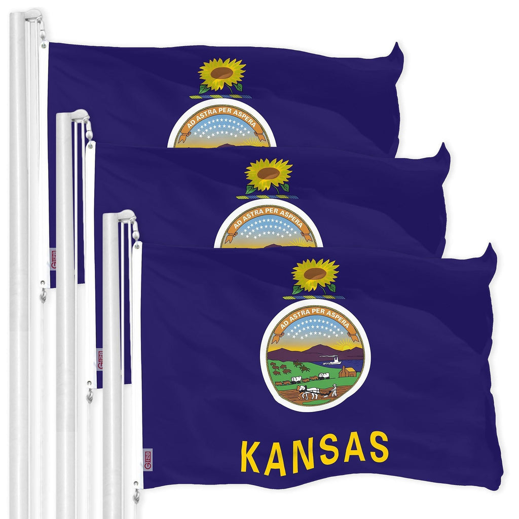 G128 3 Pack: Kansas KS State Flag  3x5 Ft  LiteWeave Pro Series Printed 150D Polyester  Indoor/Outdoor, Vibrant Colors, Brass Grommets, Thicker and More Durable Than 100D 75D Polyester
